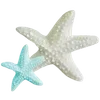 🌟