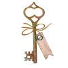 🔑