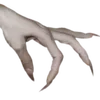🫳