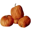 🎃