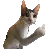 🖕