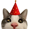 🥳