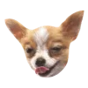 😏