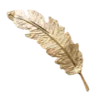 🪶