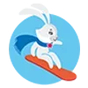 🐰