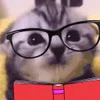 🤓