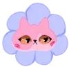 🐱