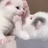 😘