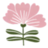 🌸