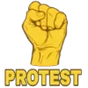 ✊