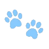 🐾