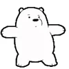 🐻