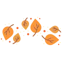 🍁
