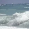 🌊