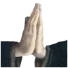 🙏