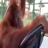 🚘