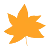 🍁