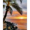 🌅