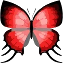 🦋