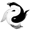 ⬛