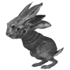 🐰