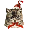 🎅