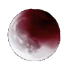 🌚