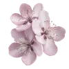 🌸