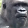 😖