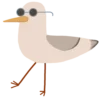 🐦