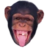 🐵