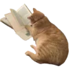🐈