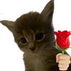 🌹