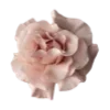🌸