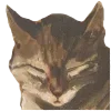 🐈