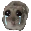 😭
