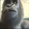 😧