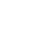 🚩