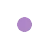 🟣