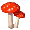 🍄