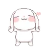 🐰
