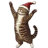 🐱