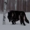 🐺