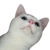 🙂