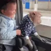 🐒