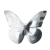 🦋