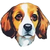 🐶