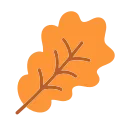 🍂
