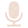 🎤