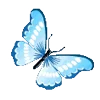 🦋